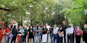 Con la esterilización de más de 400 gatos culmina la campaña de este año puesta en marcha con Diputación y protectoras felinas