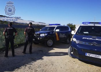 Desmantelado un invernadero con una plantación de cannabis sativa en una zona rural de Rota