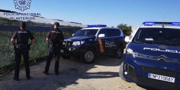 Desmantelado un invernadero con una plantación de cannabis sativa en una zona rural de Rota