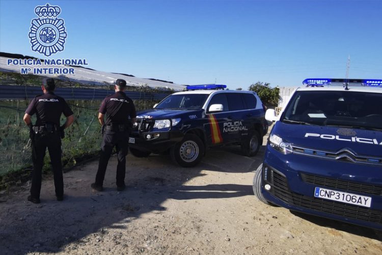 Desmantelado un invernadero con una plantación de cannabis sativa en una zona rural de Rota