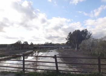 Ganemos alerta sobre la inexistencia de un Plan municipal de emergencia por sequía pese a su obligación legal