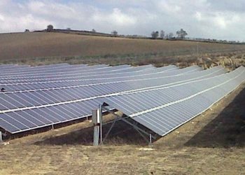 Adelante Andalucía-Jerez exige que el Ayuntamiento se moje -más y mejor- en la defensa de la vid.