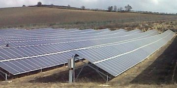 Adelante Andalucía-Jerez exige que el Ayuntamiento se moje -más y mejor- en la defensa de la vid.