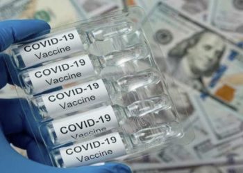 ¿”Plaga bíblica” o dejadez política?