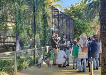 Segundo mejor registro anual de visitas para el Zoo de Jerez en 8 años