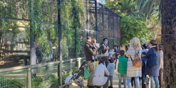 Segundo mejor registro anual de visitas para el Zoo de Jerez en 8 años