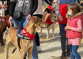 El viento desluce un San Antón con mucho público y ganas de diversión