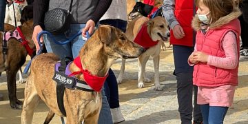 El viento desluce un San Antón con mucho público y ganas de diversión