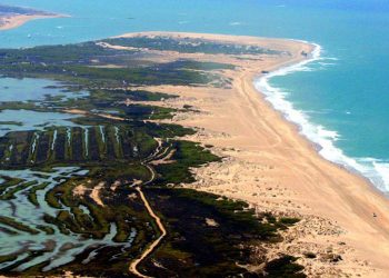 En marcha un proyecto piloto de carbono azul en la Bahía de Cádiz