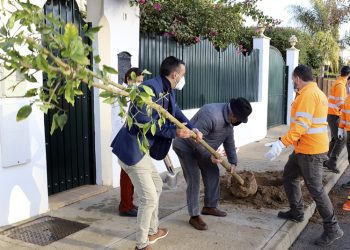 300 árboles para La Marquesa