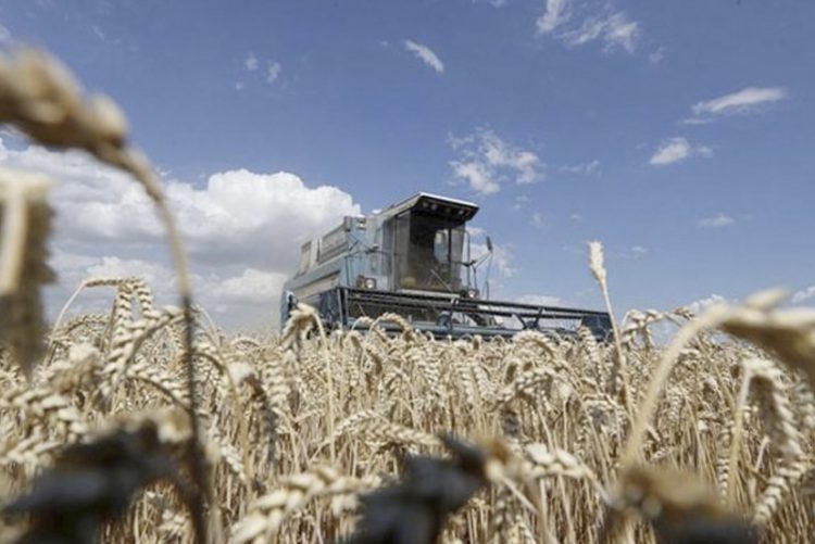 ¿Cómo afecta la Guerra de Ucrania a la economía española?