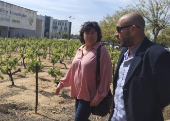 IU respalda el traslado del Laboratorio Agroalimentario y la Estación Enológica al PTA de Jerez y lleva el asunto a la Diputación de Cádiz