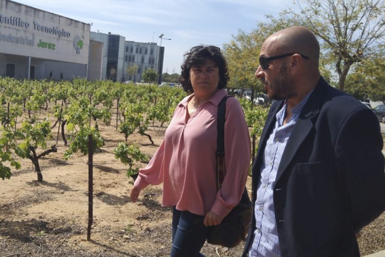 IU respalda el traslado del Laboratorio Agroalimentario y la Estación Enológica al PTA de Jerez y lleva el asunto a la Diputación de Cádiz
