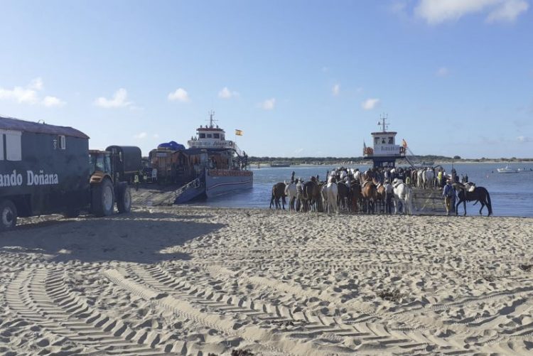 Activado el Centro de Coordinación Operativa de la Aldea de El Rocío