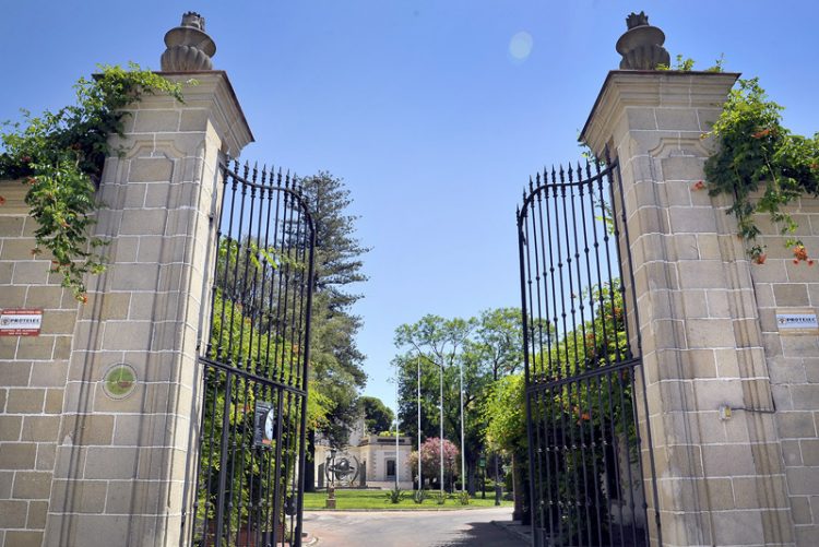 Jornada de puertas abiertas en Los Museos de la Atalaya el martes 28 con motivo del Día Mundial del Árbol