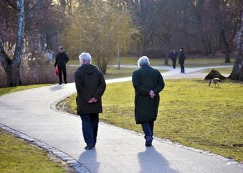 El gasto en pensiones contributivas se sitúa en el 11,8% del PIB