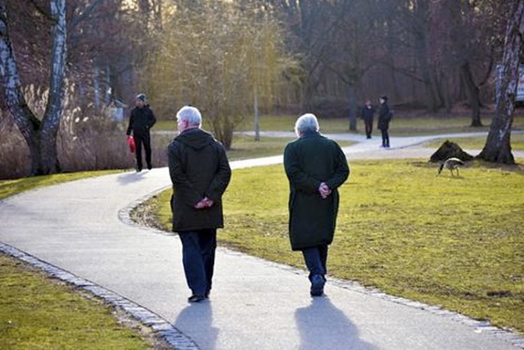 El gasto en pensiones contributivas se sitúa en el 11,8% del PIB