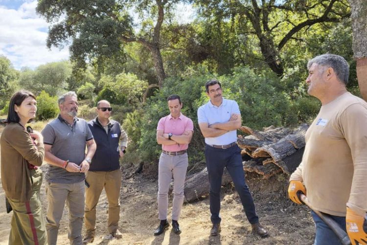 Comienza la campaña de saca de corcho en los Montes de Propio