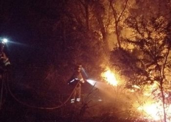 El grave incendio que desde ayer azota Jerez no da tregua