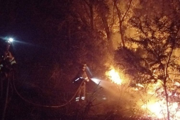 El grave incendio que desde ayer azota Jerez no da tregua