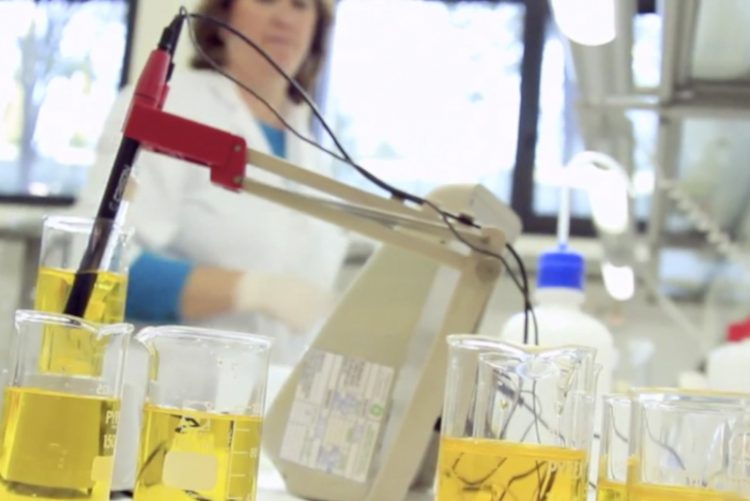 La provincia de Cádiz contará con una planta de metanol verde