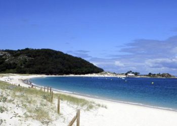 Mata a palos a una gaviota en las Islas Cíes y le puede caer una multa de 3000 €