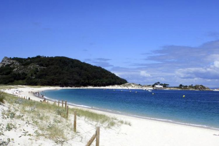 Mata a palos a una gaviota en las Islas Cíes y le puede caer una multa de 3000 €