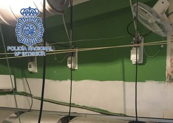 Nueva operación de la Policía Nacional contra las plantaciones de marihuana en viviendas en Jerez