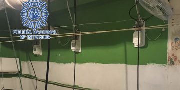 Nueva operación de la Policía Nacional contra las plantaciones de marihuana en viviendas en Jerez