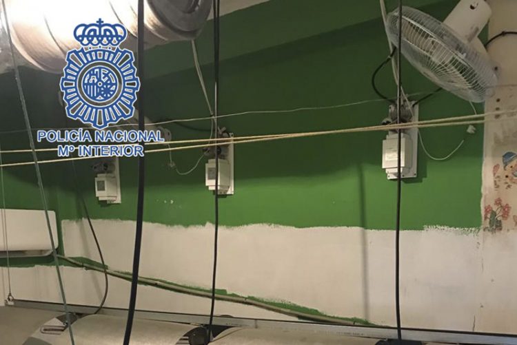 Nueva operación de la Policía Nacional contra las plantaciones de marihuana en viviendas en Jerez
