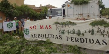 El Puerto de Santa María. Ecologistas paralizan la tala de árboles en El Ancla