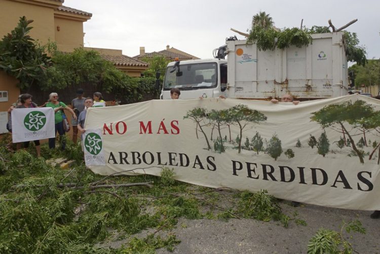El Puerto de Santa María. Ecologistas paralizan la tala de árboles en El Ancla