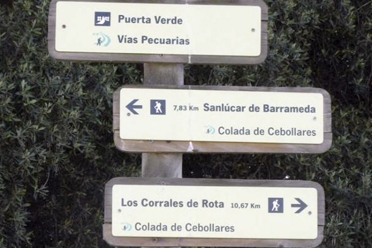 Sentencia judicial condena a la Junta a la recuperación de varias vías pecuarias