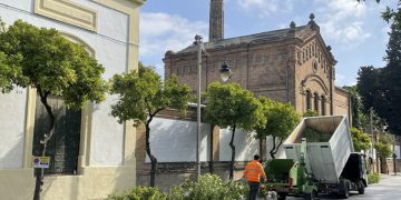 Desde Ganemos Jerez se insiste insiste en la necesidad de contar con leyes que frenen los arboricidios en ciudades como Jerez