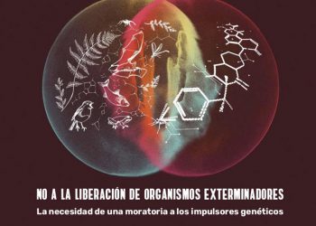 Impulsores genéticos: la ciencia señala que esta nueva tecnología entraña serios peligros a la biodiversidad