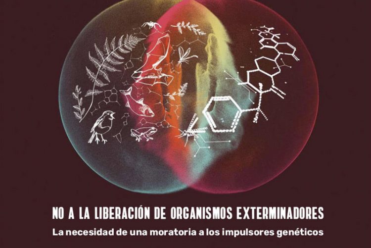 Impulsores genéticos: la ciencia señala que esta nueva tecnología entraña serios peligros a la biodiversidad