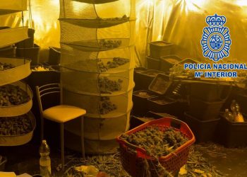 Sorprendidos en el interior de una vivienda en Jerez mientras manipulaban cogollos de marihuana que habían extraído de un cultivo indoor