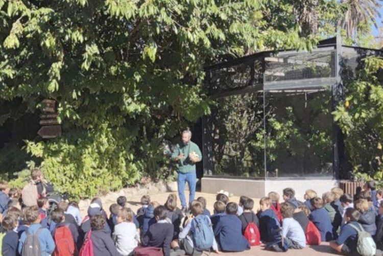 Más de 142.000 personas visitan el Zoobotánico de Jerez durante 2022