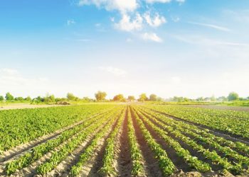 AgroGO! inaugura su foro itinerante en Jerez para abordar la innovación y sostenibilidad del regadío en Andalucía