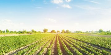 AgroGO! inaugura su foro itinerante en Jerez para abordar la innovación y sostenibilidad del regadío en Andalucía