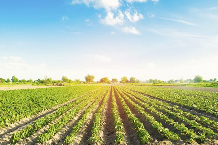 AgroGO! inaugura su foro itinerante en Jerez para abordar la innovación y sostenibilidad del regadío en Andalucía