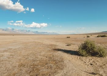 Europa vive el segundo verano más cálido y seco de toda su historia