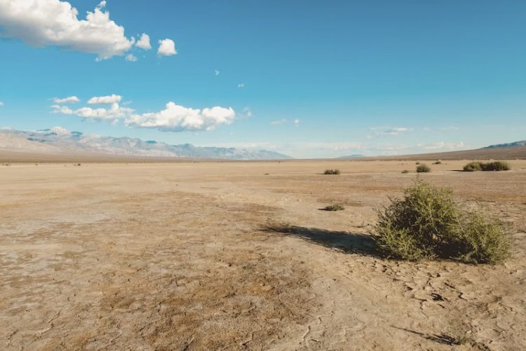 Europa vive el segundo verano más cálido y seco de toda su historia