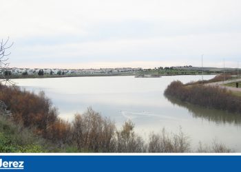 Una nave de productos cárnicos, posible foco de la plaga de moscas en Jerez