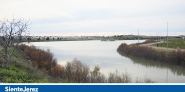 Una nave de productos cárnicos, posible foco de la plaga de moscas en Jerez