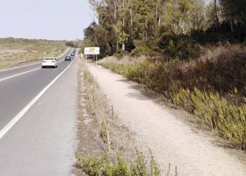 Licitada la obra del carril bici de la A-2003 entre Jerez y La Barca de la Florida