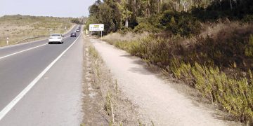 Licitada la obra del carril bici de la A-2003 entre Jerez y La Barca de la Florida
