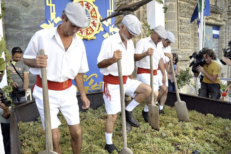 La Pisa de la Uva regresa al reducto de la Catedral tras dos años en la Alameda Vieja