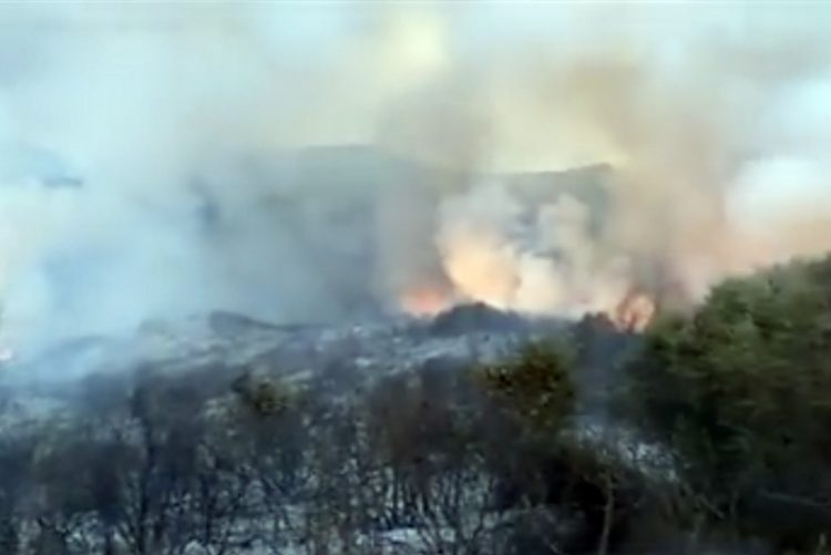 Desactivado el nivel 1 del Plan Infoca por el incendio forestal de Algeciras